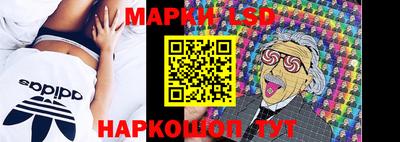 Альфа ПВП Моздок