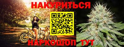 СК Можга